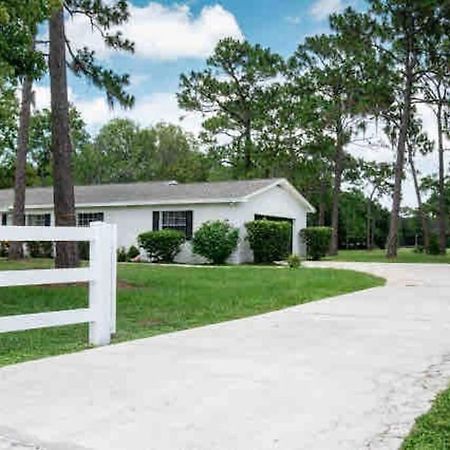 3Bdr2Bath Home In Lutz Close To Tampa, 20 Min To Stadium, Airport Esterno foto