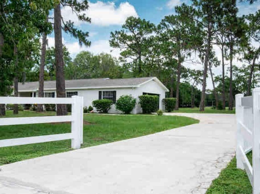 3Bdr2Bath Home In Lutz Close To Tampa, 20 Min To Stadium, Airport Esterno foto